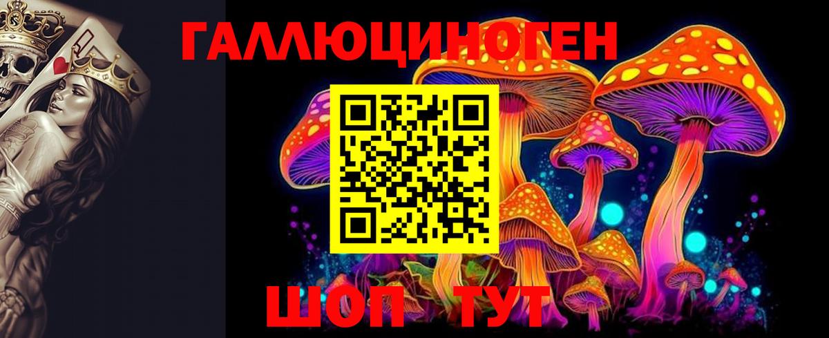 Похвистнево  Псилоцибиновые грибы Psilocybe  Вход с VPN  Псилоцибиновые грибы Cubensis 